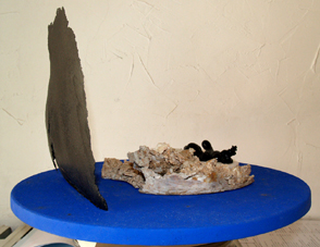 Bain de soleil sur la banquise.